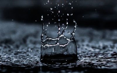 Early Life Exposure to Above Average Rainfall and Adult Mental Health